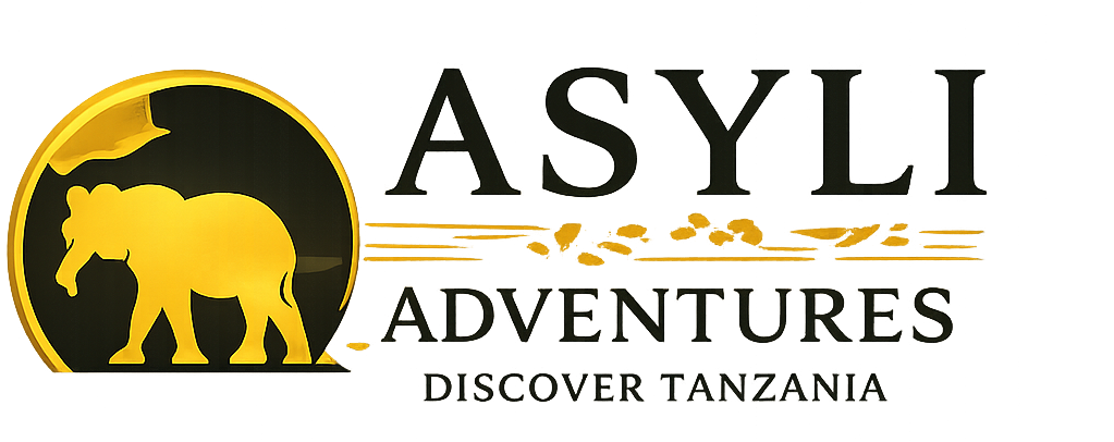 Asyli